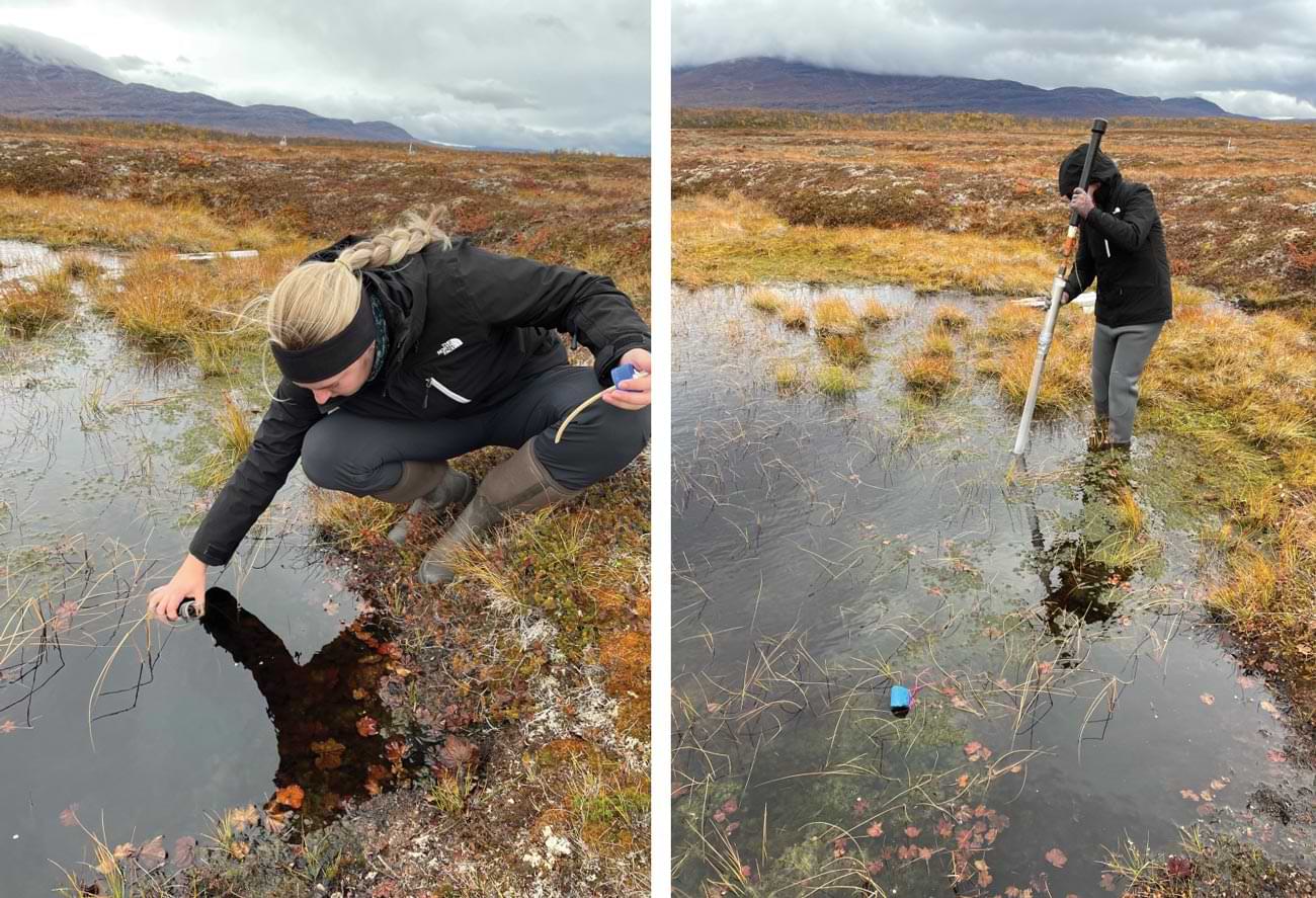 students participate in the Convergent Arctic Research Perspectives and Education (CARPE) program in a wetland area